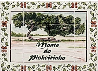 Logotipo Monte do Pinheirinho